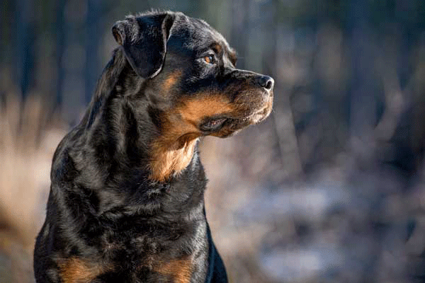 مقاله شماره 1